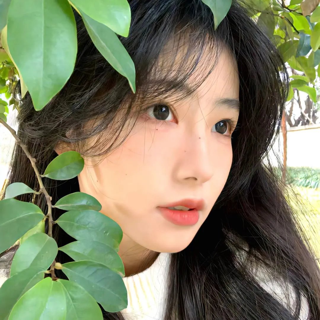 大染坊
